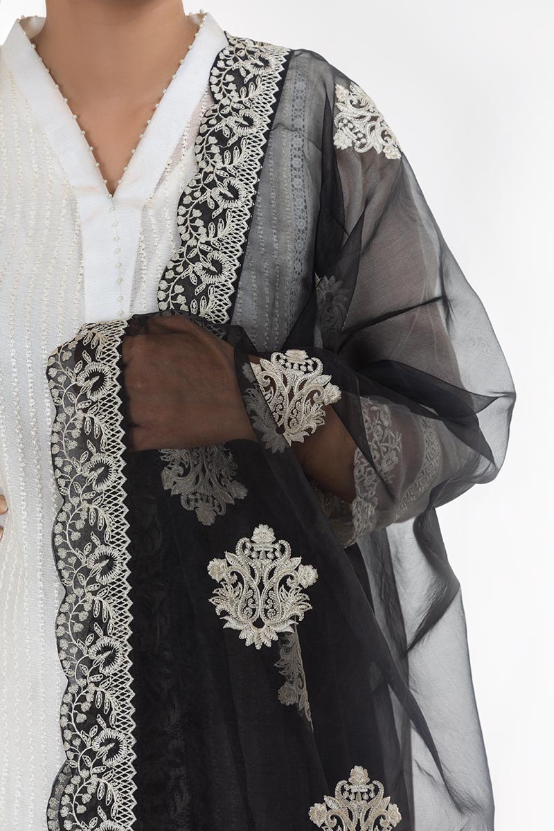 DD-762 Black