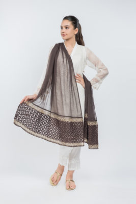 DD-748 Brown